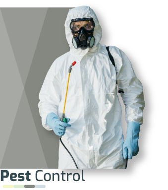 Pest Control